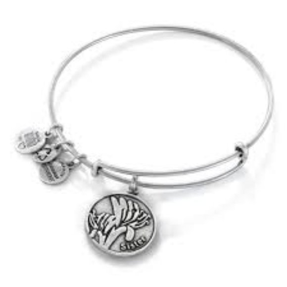Sterling Silver Alex And Ani Anchor Alex And Ani Hotd Expandable